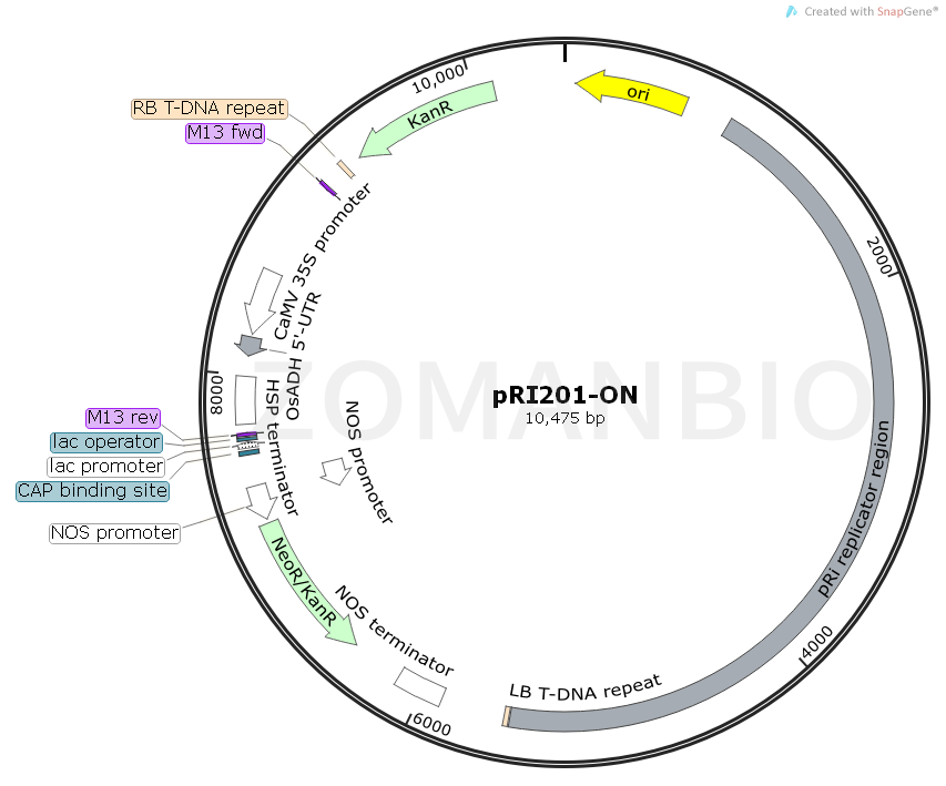 ZK1857 pRI201-ON.png