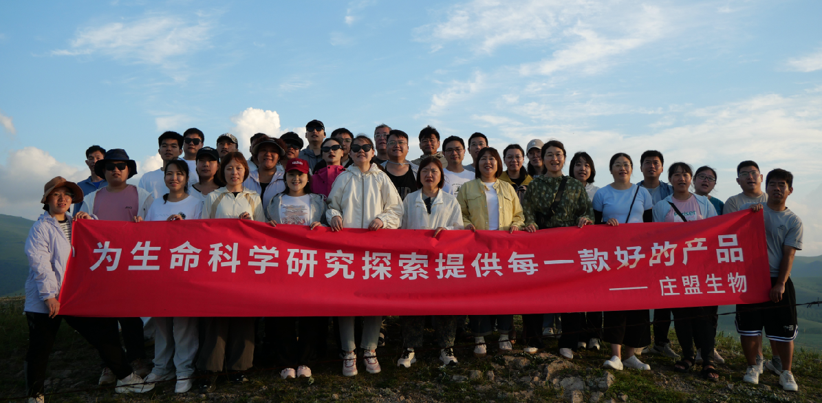 cea19f59-541e-4fe2-98c2-caa8224214ac.png