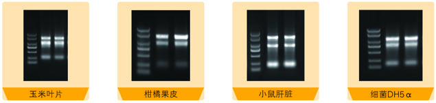 17.3月促銷總RNA試劑盒圖.jpg