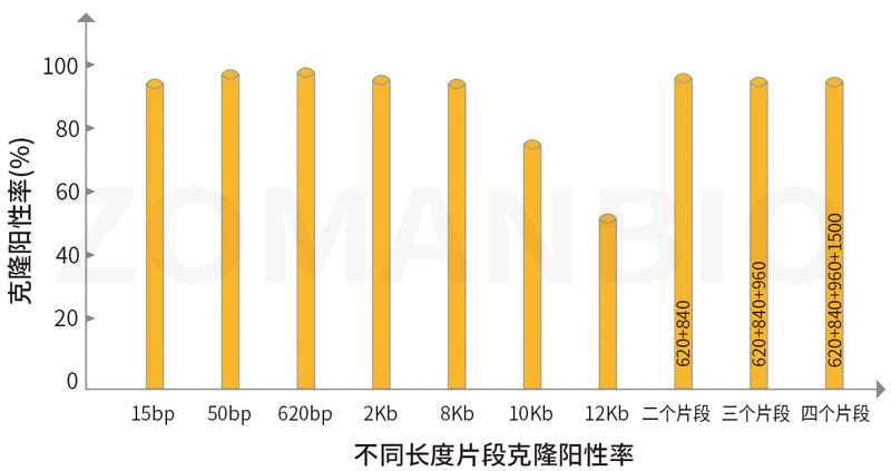 ZC231無縫克隆實(shí)驗(yàn)數(shù)據(jù)圖.jpg